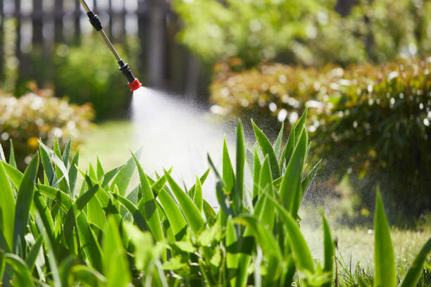 Tamper-Resistant Bait Stations for Rodents in Red Bay