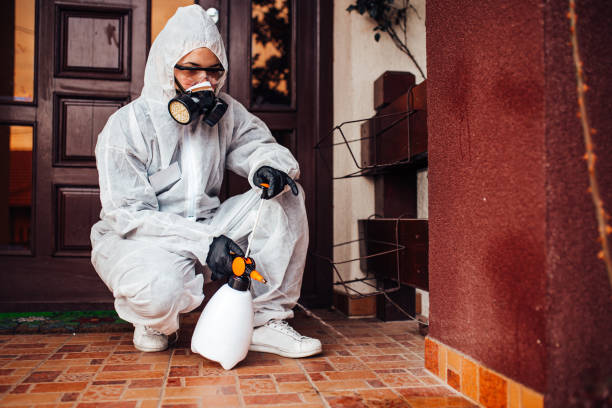 Attic and Crawl Space Rodent Treatment in Red Bay